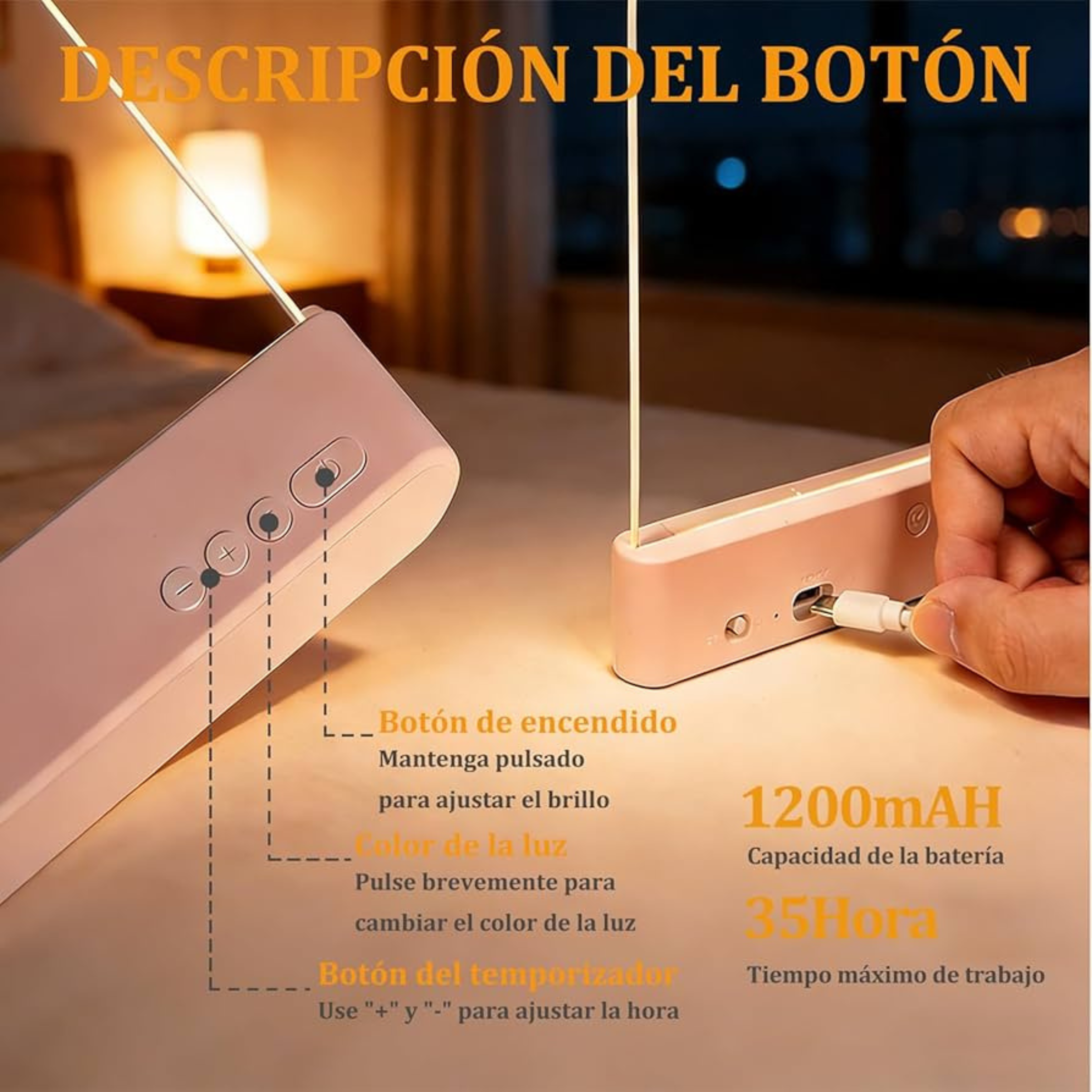 Panel con Luz para la Lectura